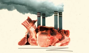 Carne Crise Climática