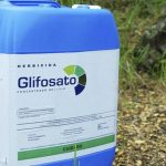 Glifosato UE