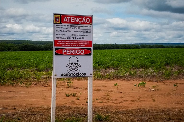 Agrotóxicos No Pantanal