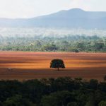 Cerrado Desmatamento