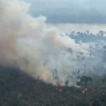 Amazônia Em Chamas