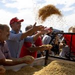 Arroz Ecológico