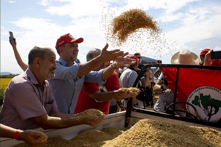 Arroz Ecológico