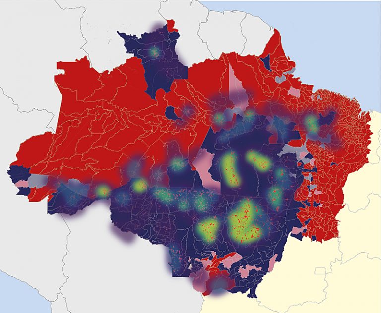 Amazônia De Bolso