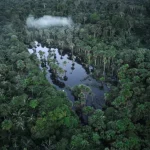 Igarape Cerca Da Aldeia Demini Yanomami 696x464