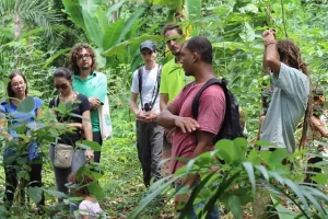 Quilombo Floresta