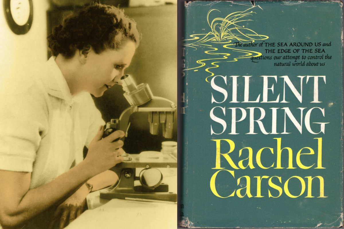 Rachel Carson Silent Spring