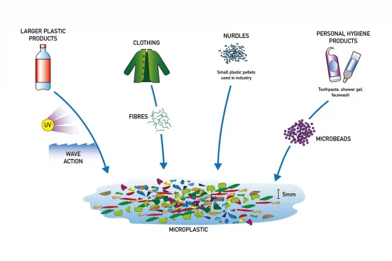 Microplásticos em placentas: ocorrência, fontes e efeitos