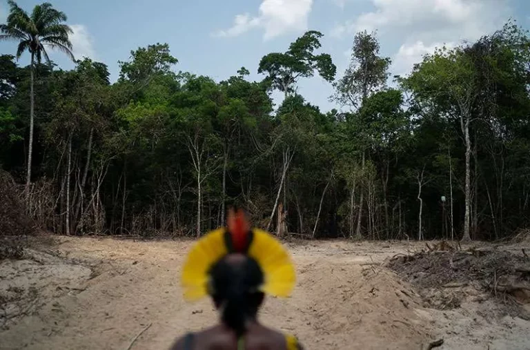 Indigenous Chief Amazon Forest