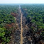 BRAZIL ENVIRONMENT AMAZON DEFORESTATION