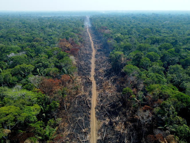 BRAZIL ENVIRONMENT AMAZON DEFORESTATION