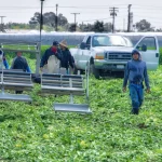 Monsanto Farmworkers