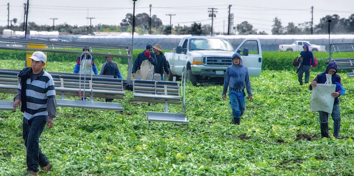 Monsanto Farmworkers