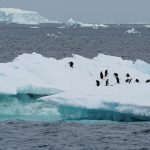 Derretimento Geleiras Antartica