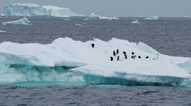 Derretimento Geleiras Antartica