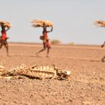 KENYA DROUGHT ENVIRONMENT