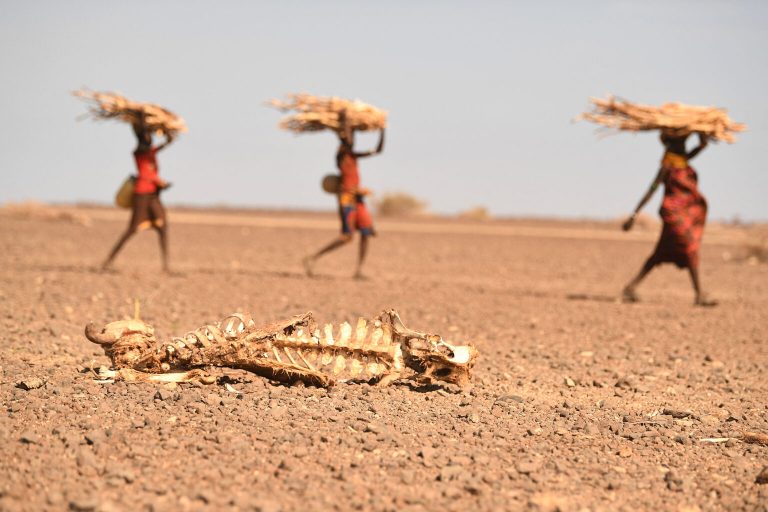 KENYA DROUGHT ENVIRONMENT