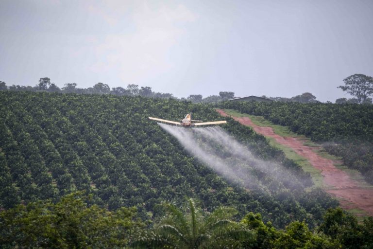 Aplicacao Agrotoxico Adriano Kirihara 1024x683