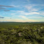 Caatinga Michael Esquer IMG 5621