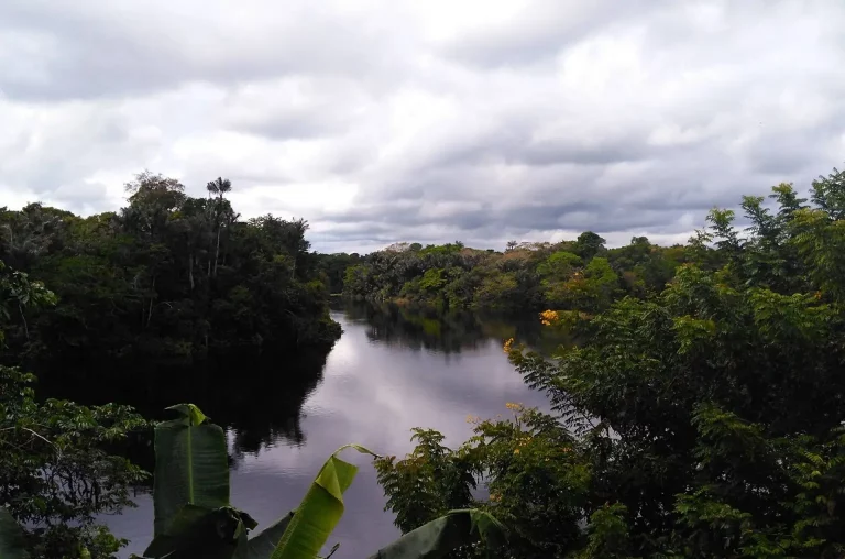 Comunidade Do Tambor No Municipio De Novo Airao No Amazonas Foto Debora Menezes Arquivo Pessoal