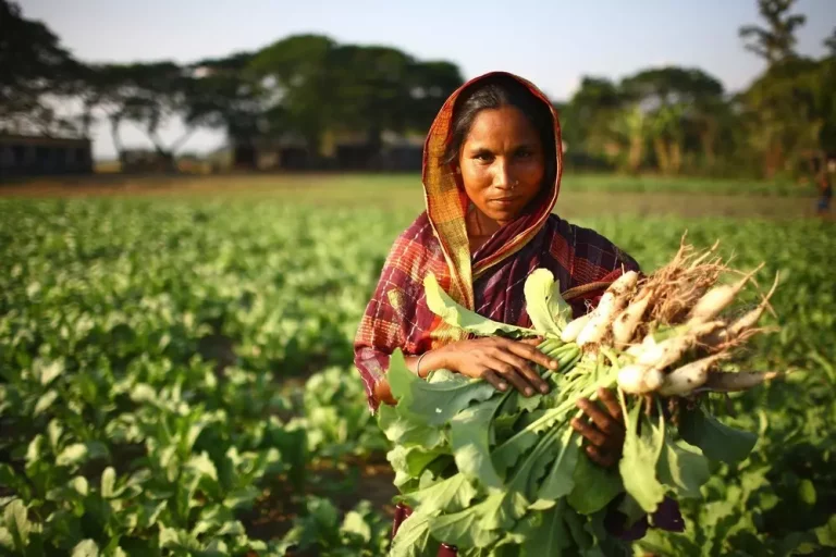 Agricultora Índia