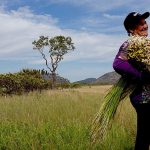 Serra Do Espinhaço Ecologia