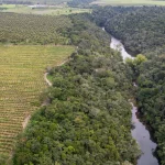 Sobrevoo Sul Da Bahia Porto Seguro Duda Menegassi