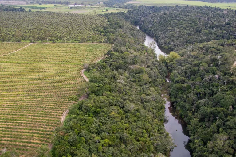 Sobrevoo Sul Da Bahia Porto Seguro Duda Menegassi