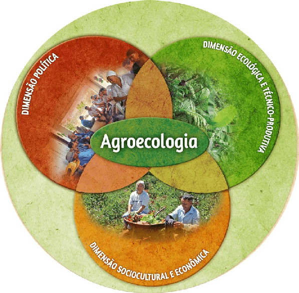 Agroecologia Como Resultado Da Articulacao Entre As Dimensoes