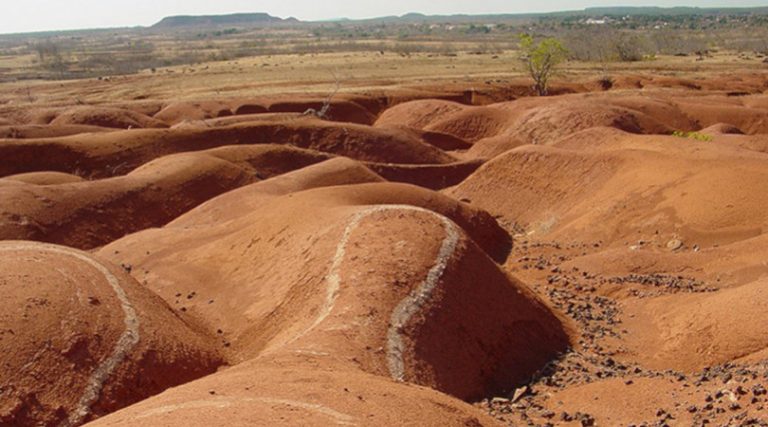 Caatinga 2