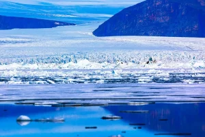 Arctic Sea Ice Topshot