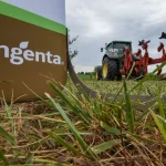 Syngenta No Campo