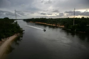 Cape Fear