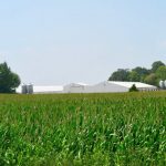 Corn In Minnesota 1024x683 1024x585