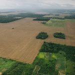 Lavoura Amazônia