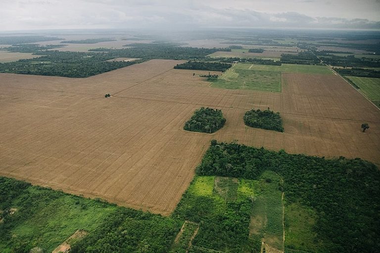 Lavoura Amazônia