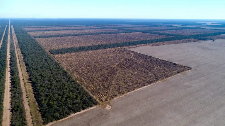 DESTRUIÇÃO DO CERRADO