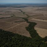 Ilha Verde Indígena