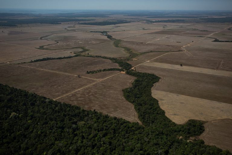 Ilha Verde Indígena