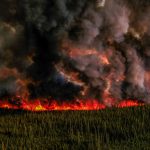 Smoke Billows Upwards From A Planned Ignition By Firefighters Tackling The Donnie Creek Complex Wildfire South Of Fort Nelson