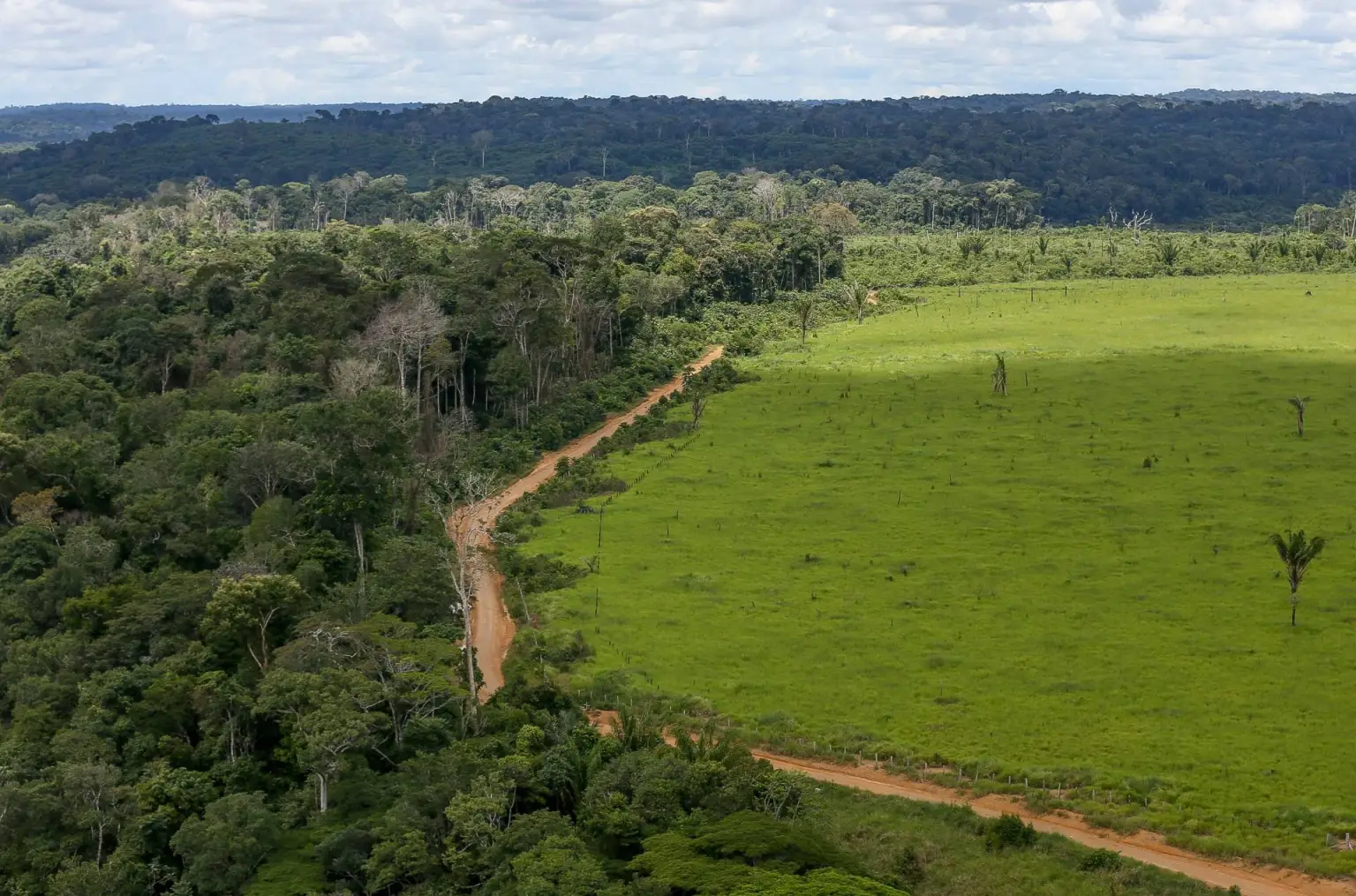 CERRADO