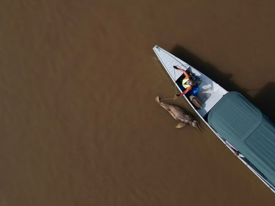 Impacto da seca causada pelo clima na Amazônia pode durar até 2026