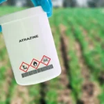 Atrazine Herbicide Used Control Annual 600nw 2294431937