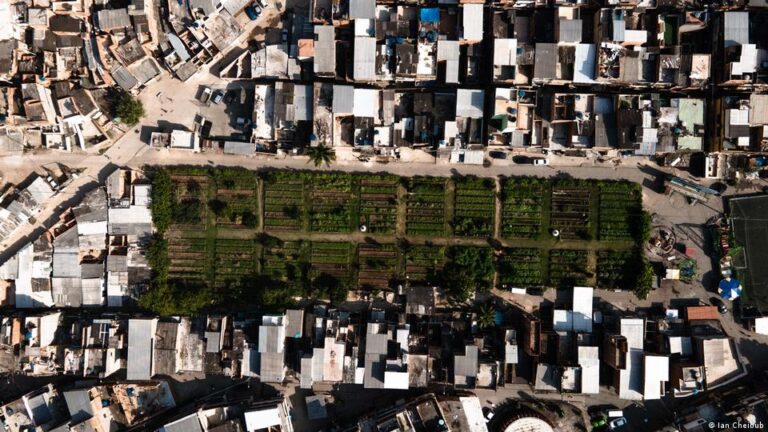 Horta Urbana Manguinhos Rio