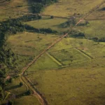 Mais De 10 Mil Sitios Arqueologicos Indigenas Podem Estar Escondidos Na Amazonia