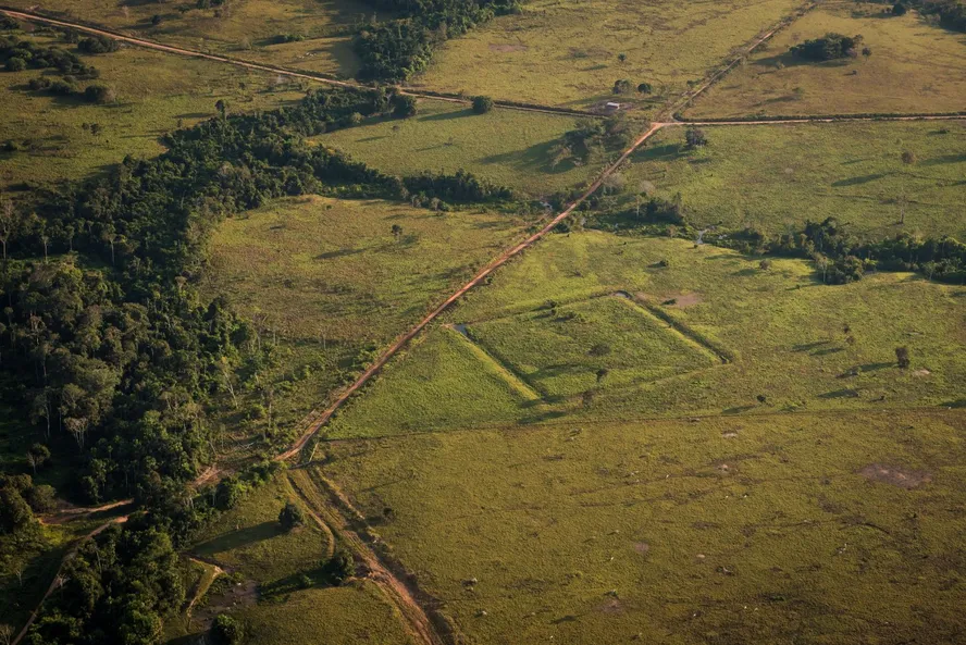 Mais De 10 Mil Sitios Arqueologicos Indigenas Podem Estar Escondidos Na Amazonia