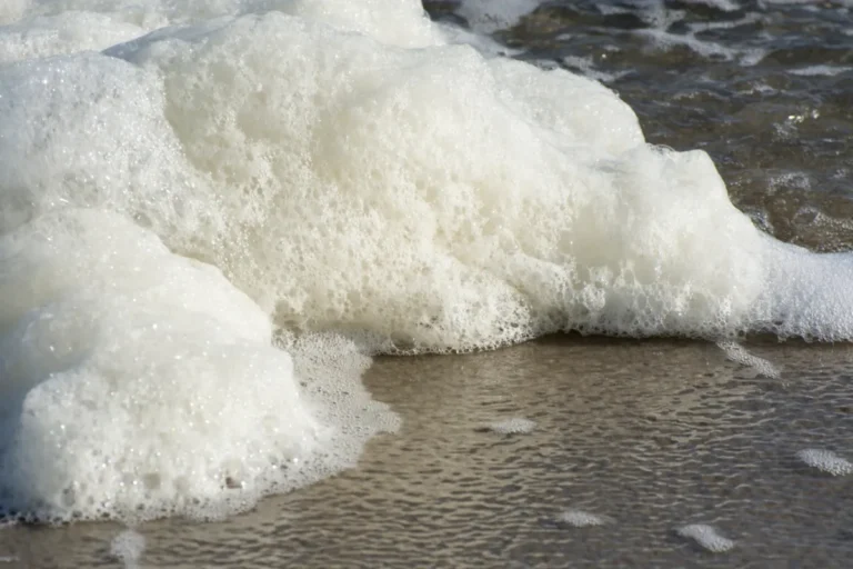 Pfas Espuma Do Mar Holanda