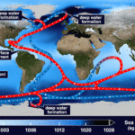 Global Ocean Circulation GIF