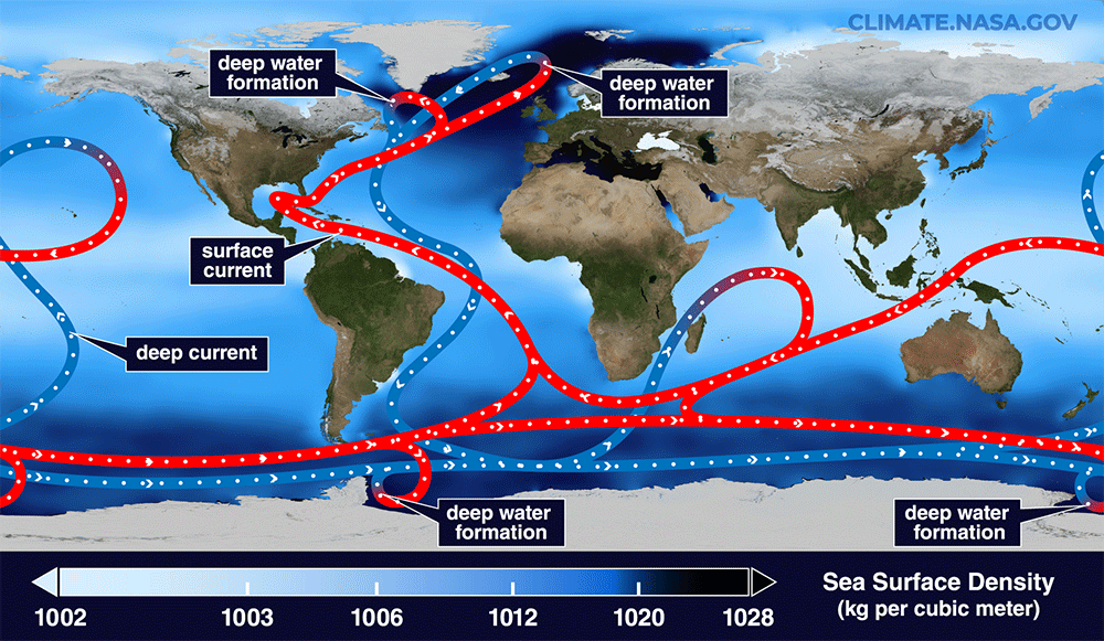 Global Ocean Circulation GIF