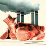 Carne Crise Climática